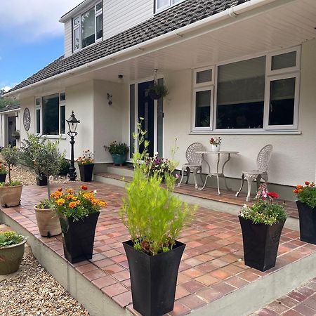 Woodland House B & B Wimborne Minster Buitenkant foto
