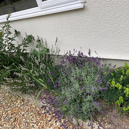 Woodland House B & B Wimborne Minster Buitenkant foto