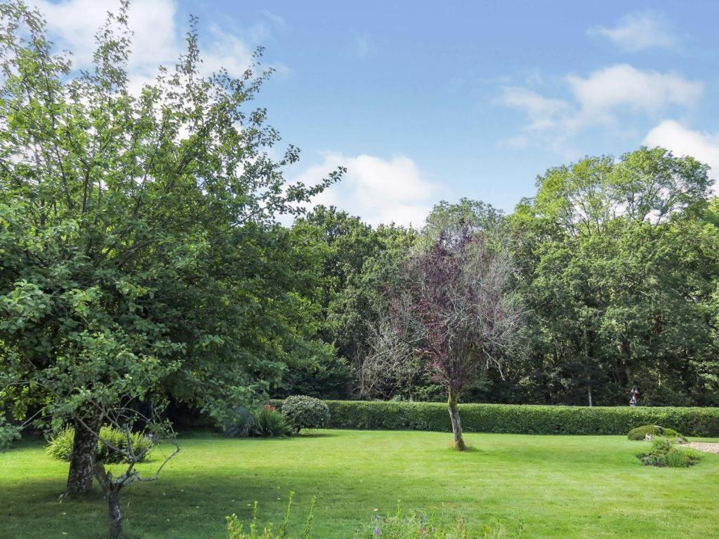 Woodland House B & B Wimborne Minster Buitenkant foto