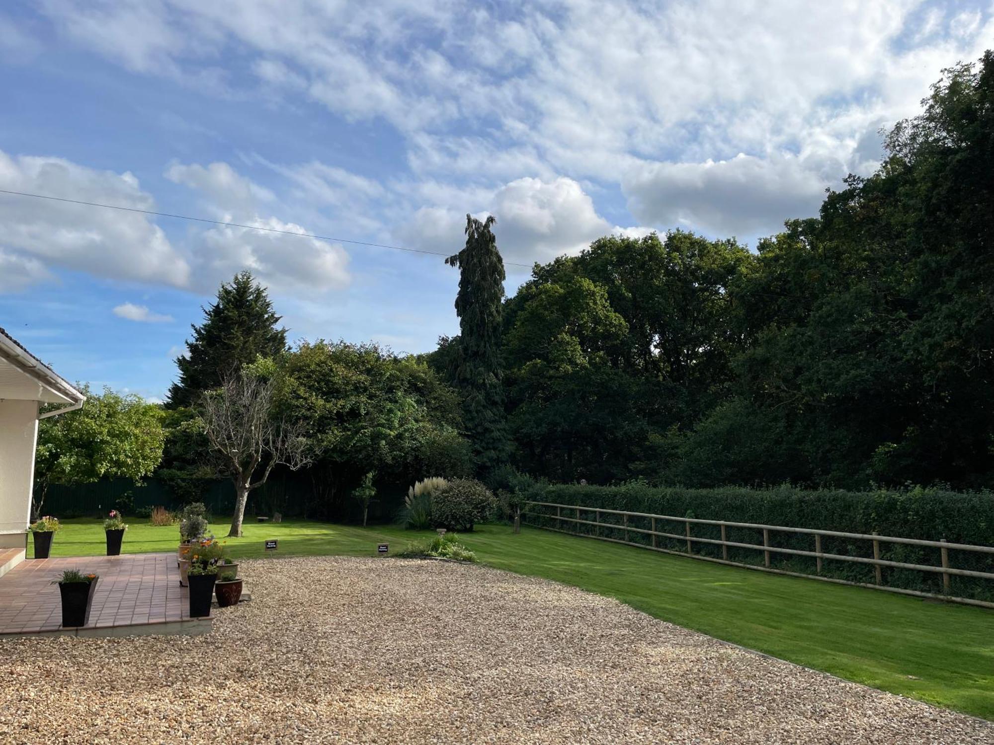 Woodland House B & B Wimborne Minster Buitenkant foto