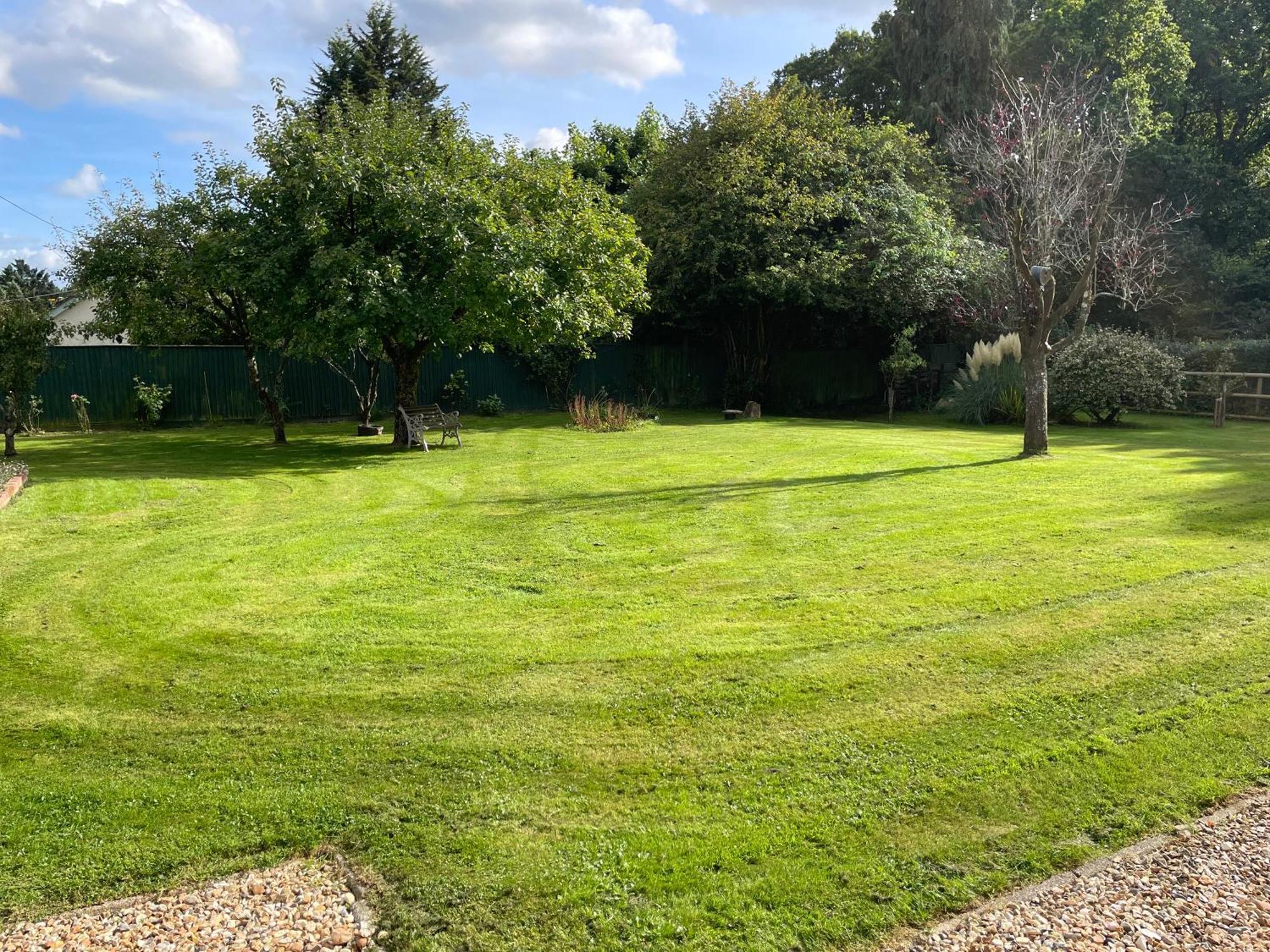 Woodland House B & B Wimborne Minster Buitenkant foto